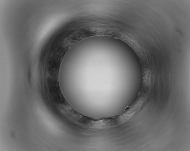 X0000112870430200908281629