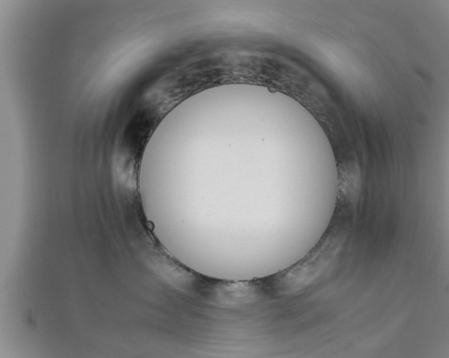 X0000112870431200908281629