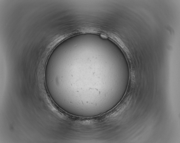 X0000112870433200908281628