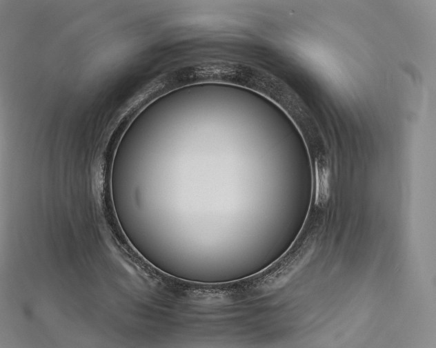 X0000112870435200908281628