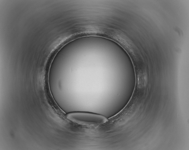 X0000112870436200908281628