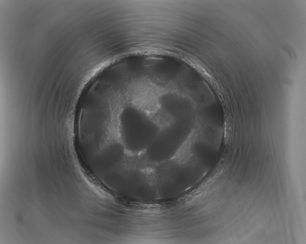 X0000112870438200908281628