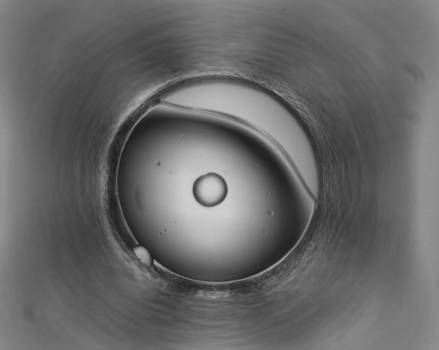 X0000112870440200908281628