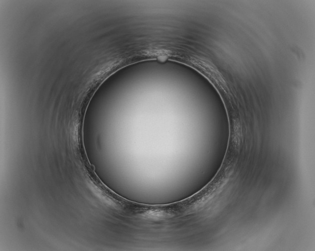 X0000112870441200908281628