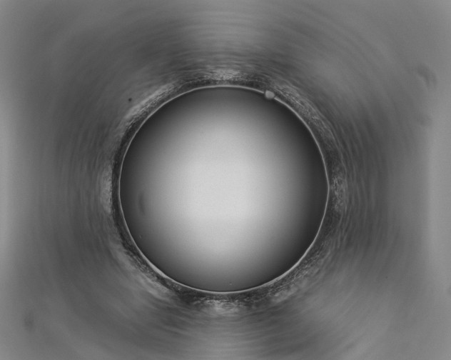 X0000112870442200908281628