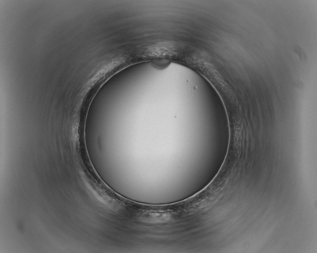 X0000112870443200908281628