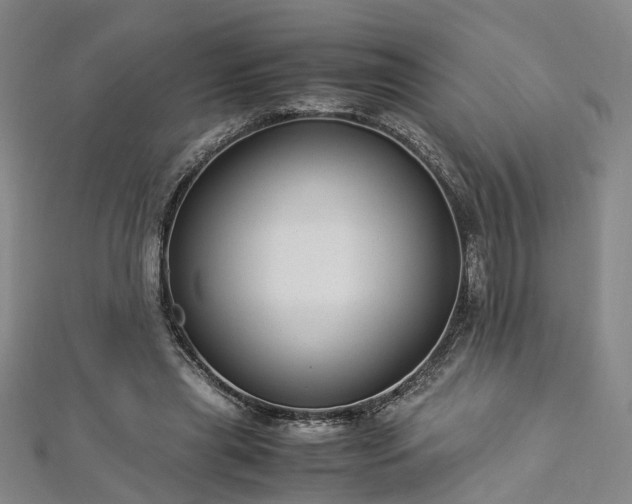 X0000112870445200908281628