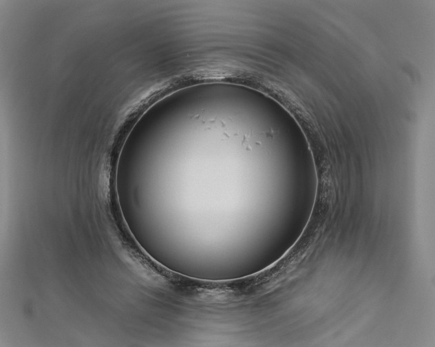 X0000112870446200908281628