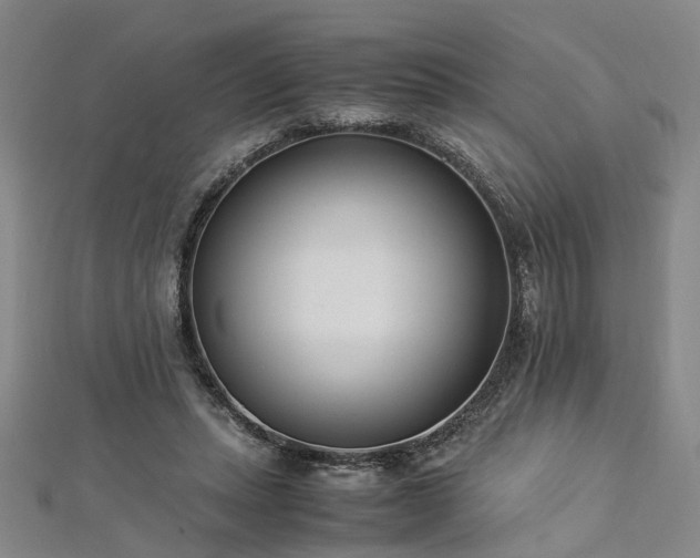 X0000112870447200908281628