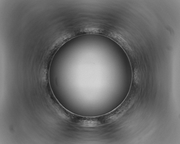 X0000112870449200908281628