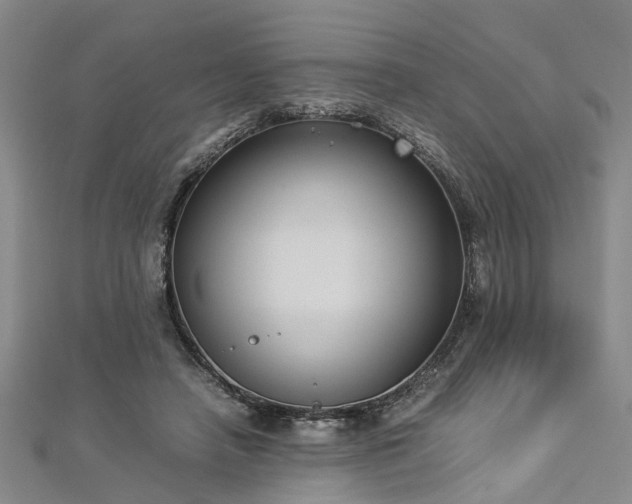 X0000112870450200908281628