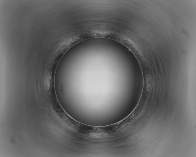 X0000112870451200908281628