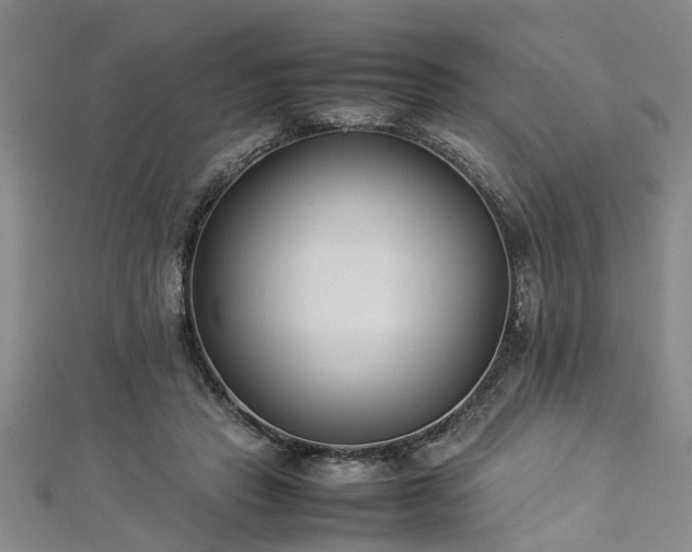 X0000112870453200908281628