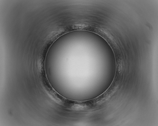 X0000112870455200908281628