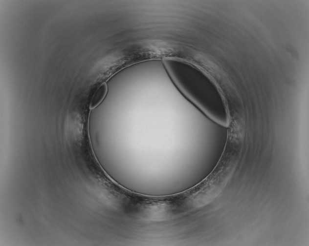 X0000112870456200908281628