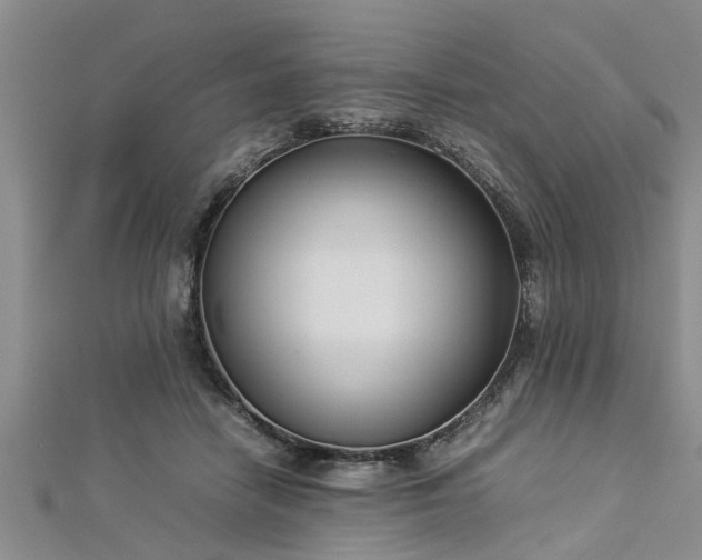 X0000112870458200908281628