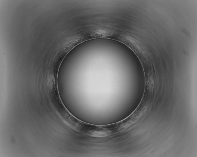 X0000112870459200908281628