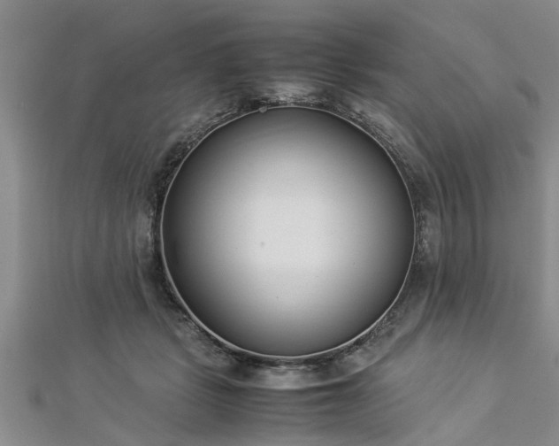 X0000112870461200908281628