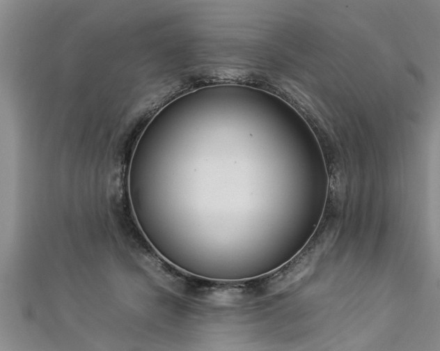 X0000112870462200908281628