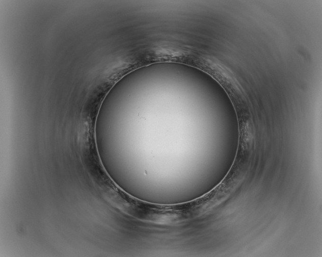 X0000112870463200908281628