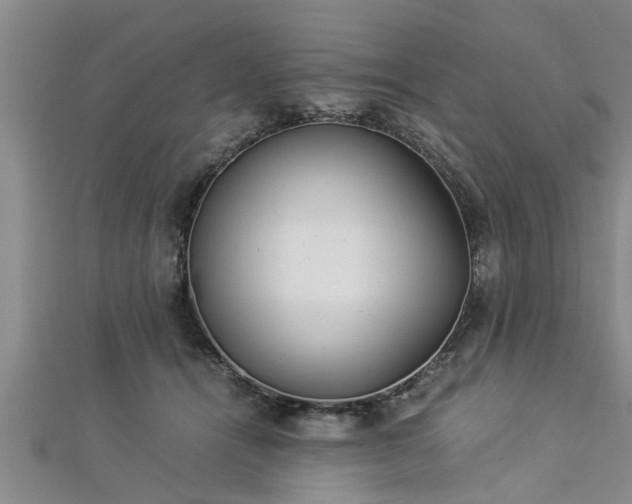 X0000112870464200908281628