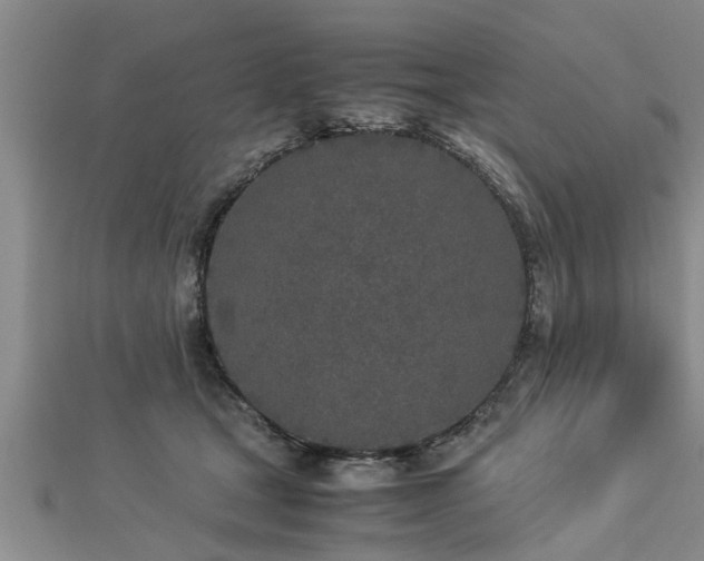 X0000112870465200908281628