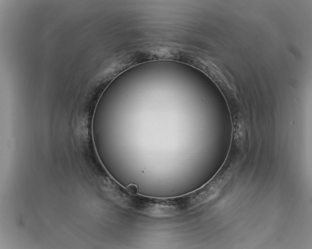 X0000112870466200908281628