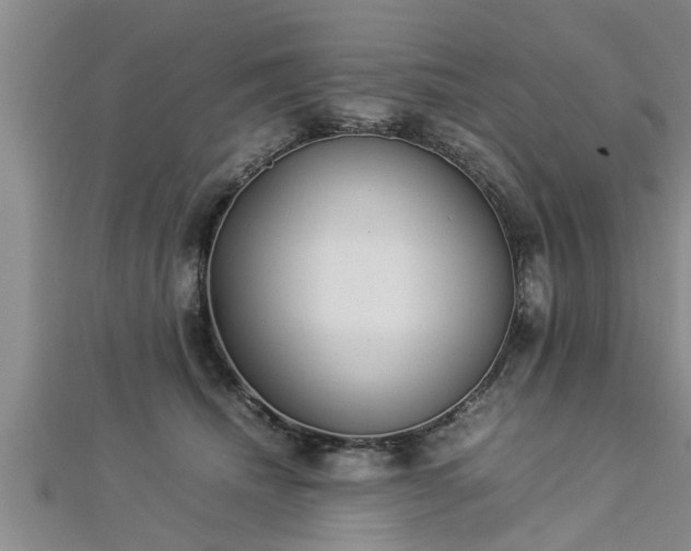 X0000112870468200908281628