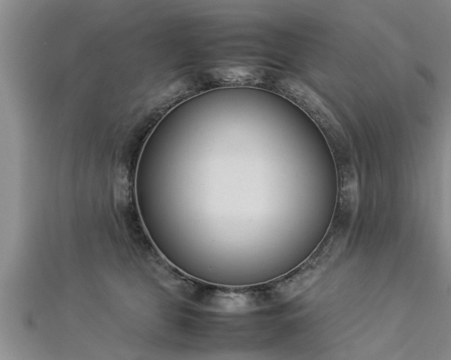 X0000112870469200908281628