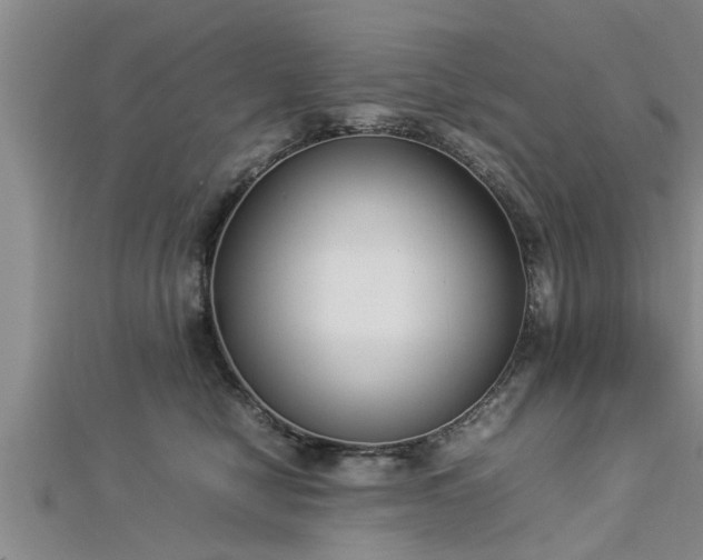 X0000112870470200908281628