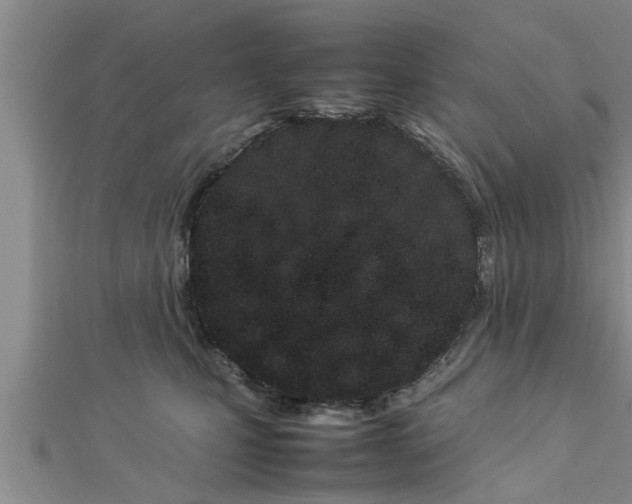 X0000112870471200908281628