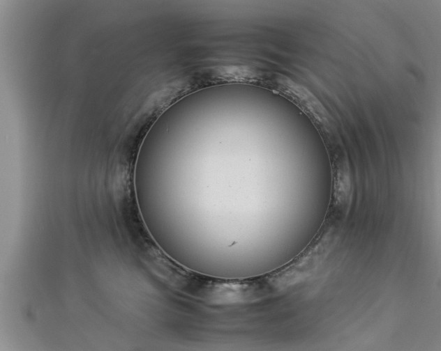 X0000112870473200908281628