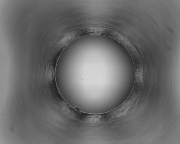 X0000112870474200908281628