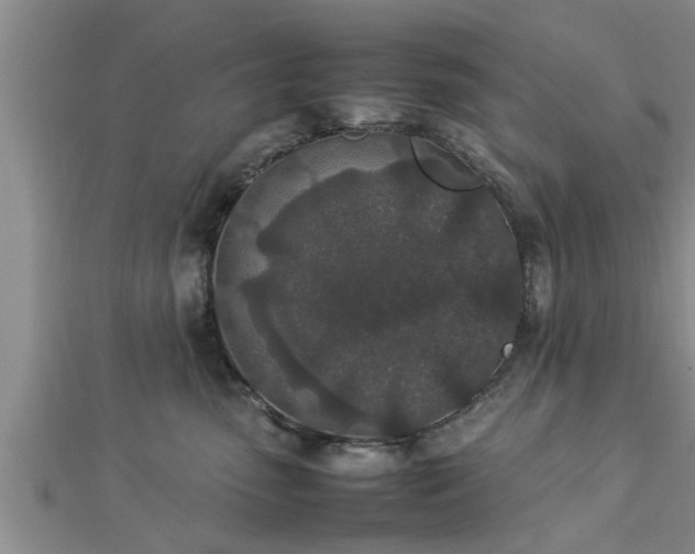 X0000112870475200908281628