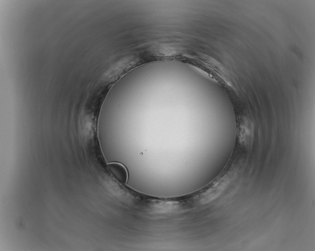 X0000112870476200908281628