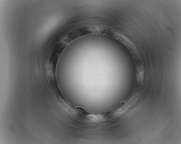 X0000112870477200908281629