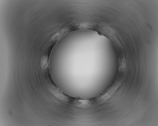 X0000112870478200908281629