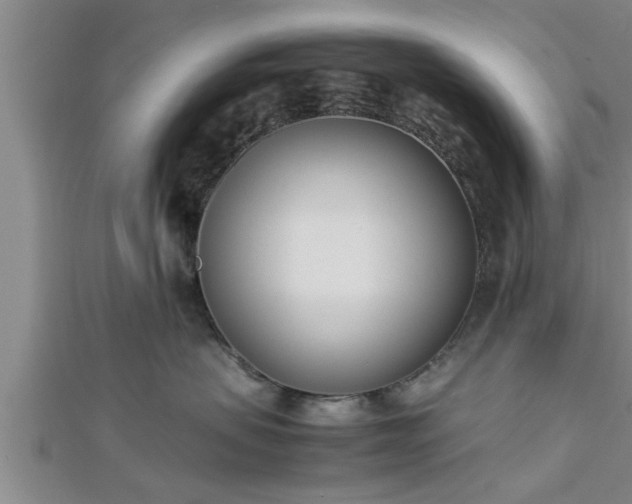 X0000112870479200908281629