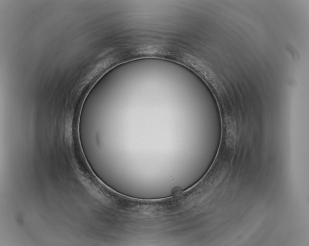 X0000112870482200908281628