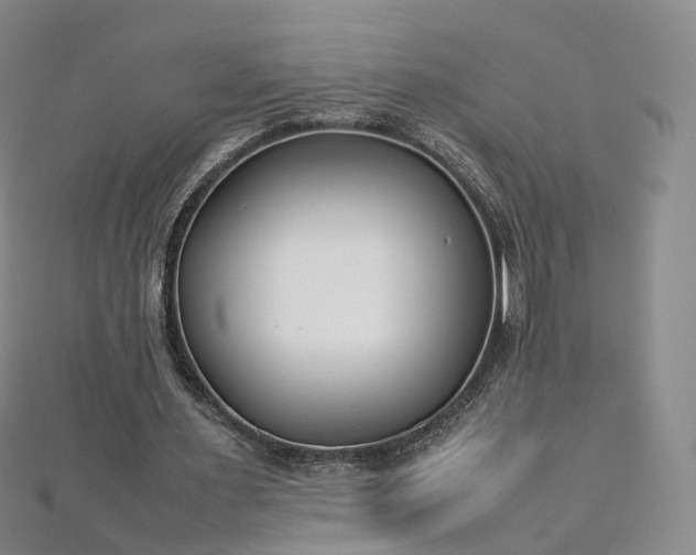 X0000112870483200908281628