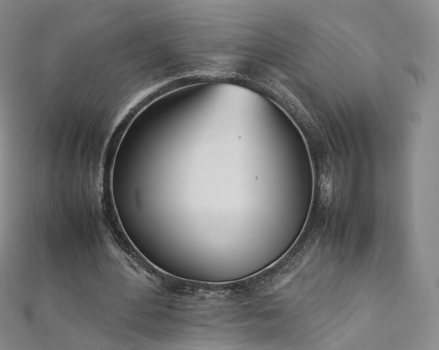 X0000112870484200908281628