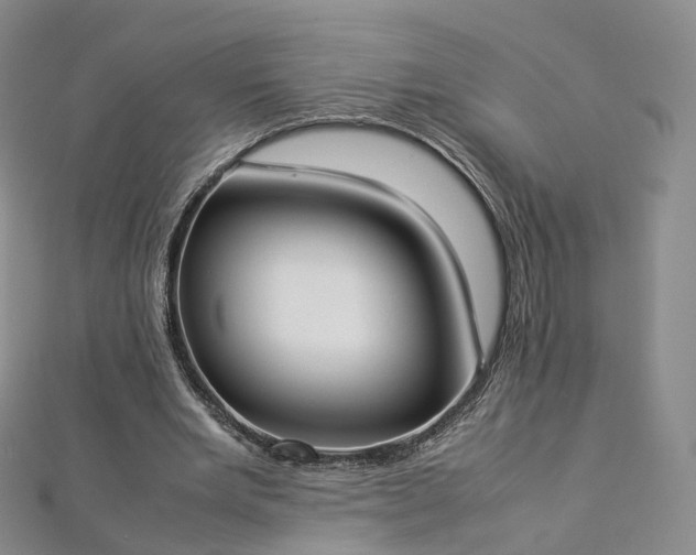 X0000112870485200908281628