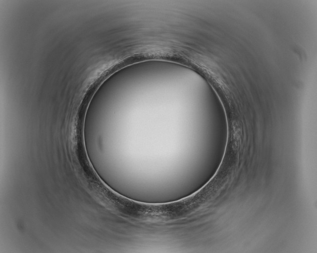 X0000112870487200908281628