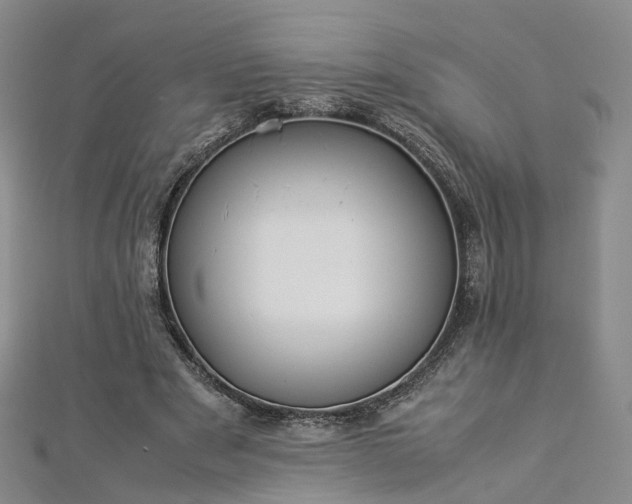 X0000112870489200908281628