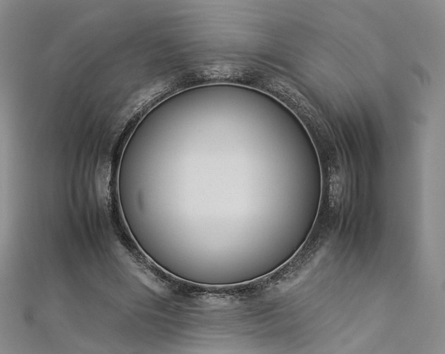 X0000112870490200908281628