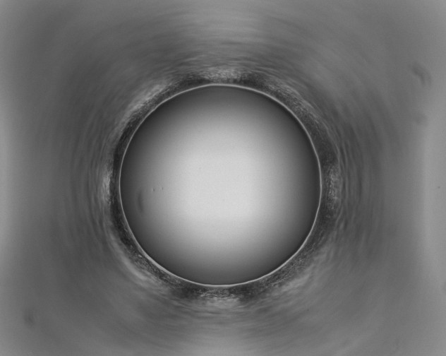 X0000112870491200908281628