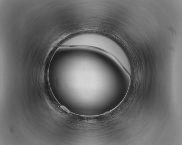 X0000112870492200908281628