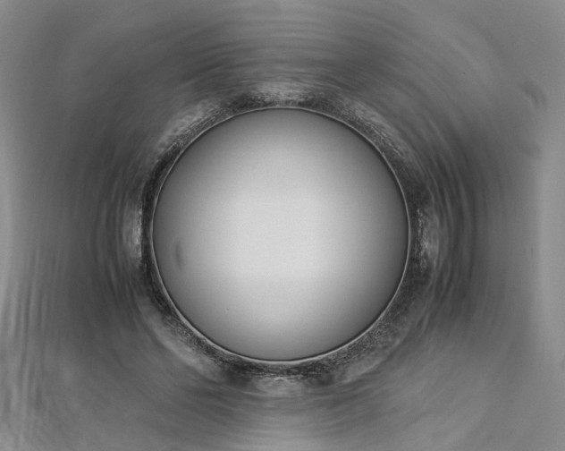 X0000112870494200908281628