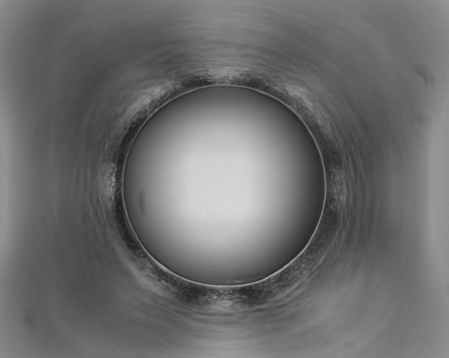 X0000112870495200908281628