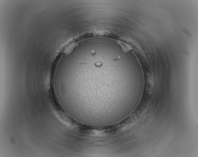 X0000112870496200908281628